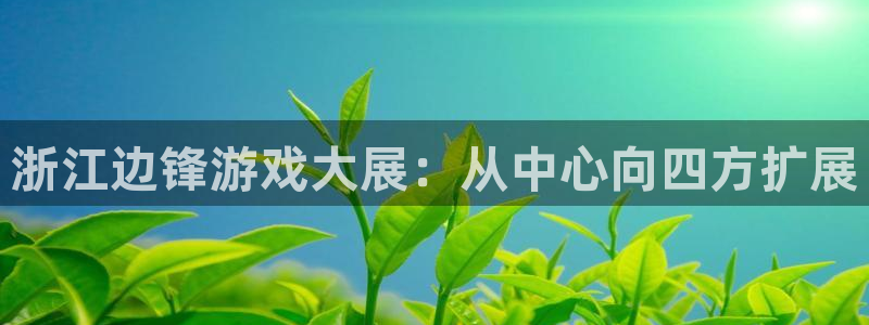 浙江边锋游戏大展：从中心向四方扩展