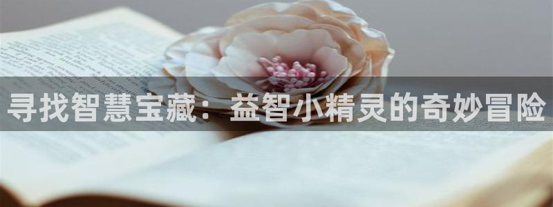 寻找智慧宝藏：益智小精灵的奇妙冒险