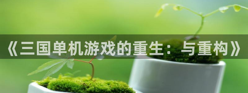 南宫娱乐app：《三国单机游戏的重生：与重构》