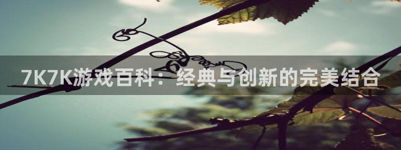 南宫官网注册平台网站入口