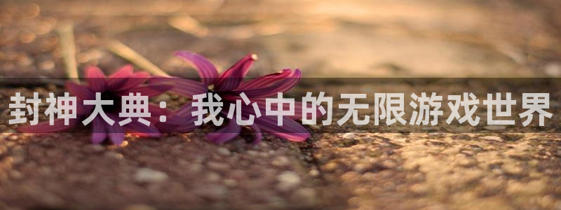 南宫娱乐集团老板是谁啊图片