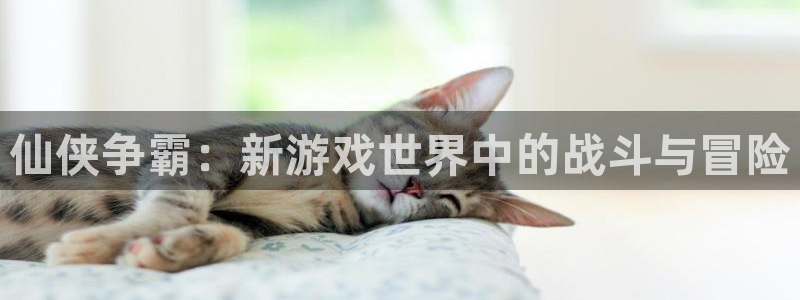 南宫下载安卓：仙侠争霸：新游戏世界中的战斗与冒险