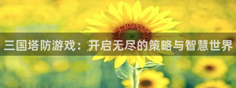 南宫娱乐app官网版：三国塔防游戏：开启无尽的策略与智慧世界