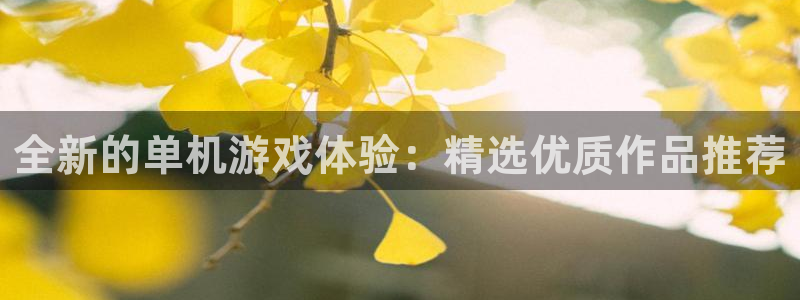 南宫是什么意思?