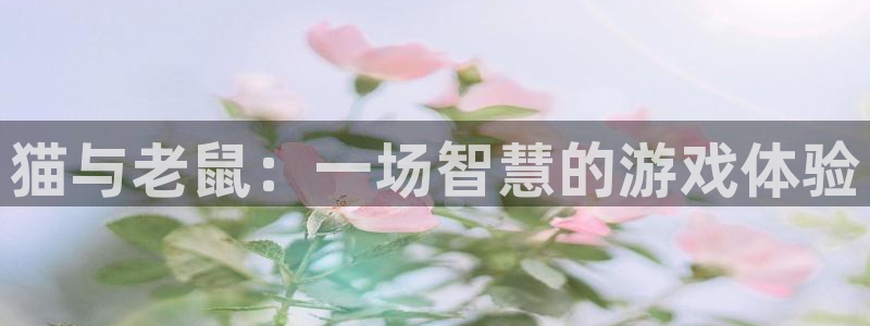 南宫集团在哪：猫与老鼠：一场智慧的游戏体验