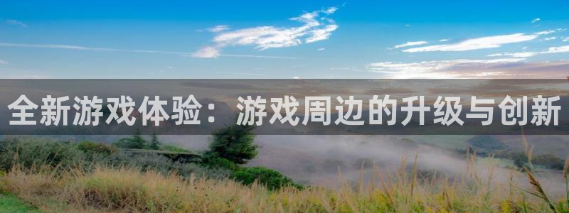 南宫平台能不能欠钱玩