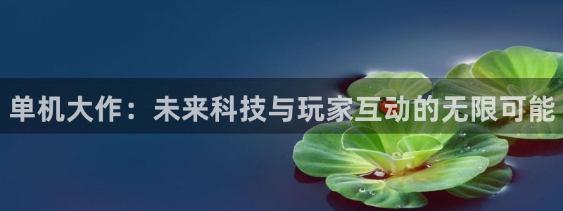 南宫市好玩的娱乐场所：单机大作：未来科技与玩家互动的无限可能